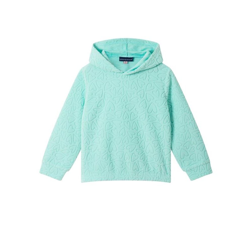 Andy & Evan Girls  Heart Burnout Plush Hoodie, Blue